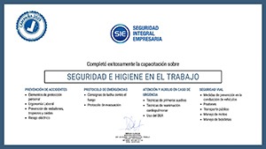 WhatsApp Image 2025 12 17 at 11.19.08 8