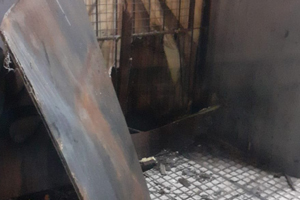 4 ACTUACION DESTACADA 3