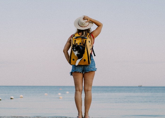 WhatsApp Image 2025 12 19 at 13.31.46